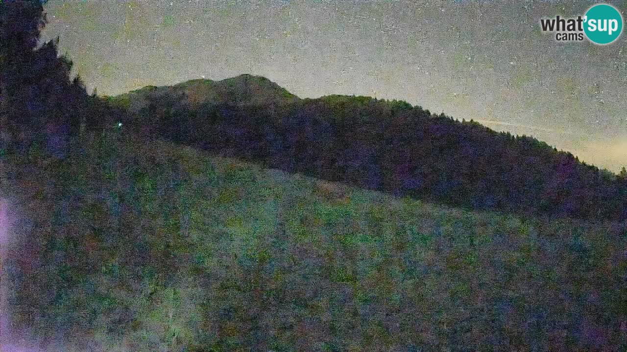 RTC Skigebiet Kranjska Gora | Brsnina