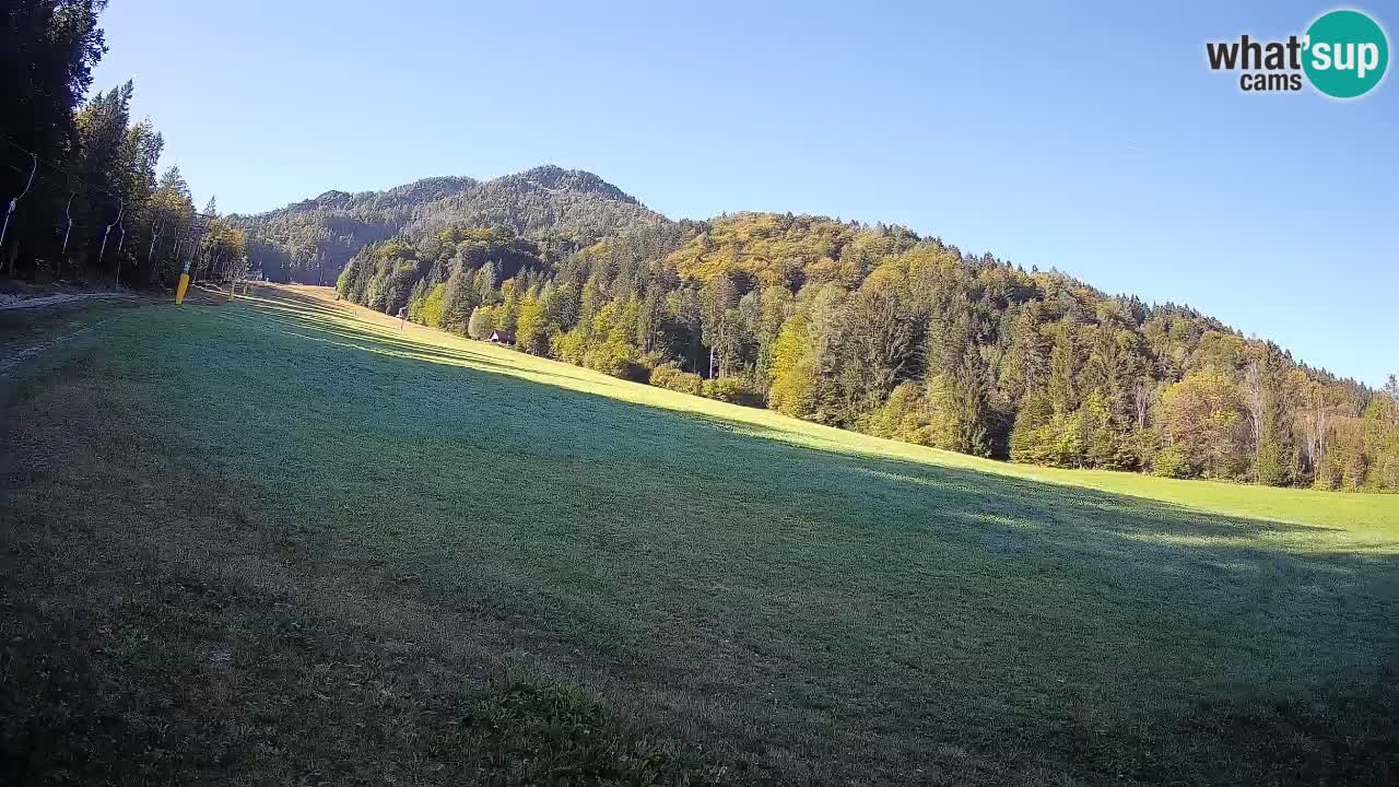 Ski Kranjska Gora | Brsnina