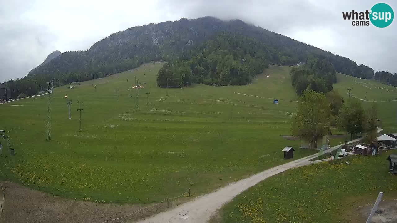 Spletna kamera Kranjska Gora – RTC – Mojca – Rožle