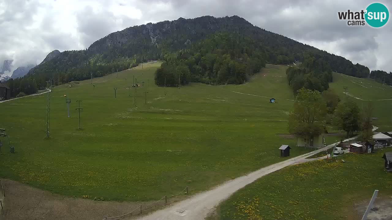 Spletna kamera Kranjska Gora – RTC – Mojca – Rožle