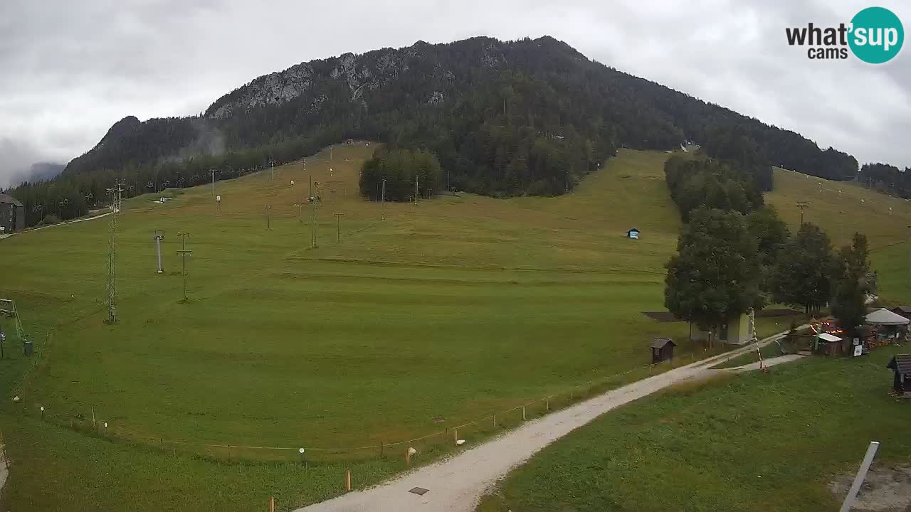 Meteo Kranjska Gora webcam | Piste da sci Kekec – Mojca – Rožle