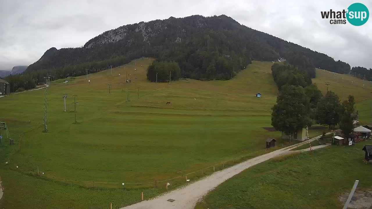 Meteo Kranjska Gora webcam | Piste da sci Kekec – Mojca – Rožle