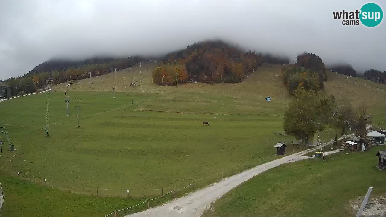 Meteo Kranjska Gora webcam | Piste da sci Kekec – Mojca – Rožle