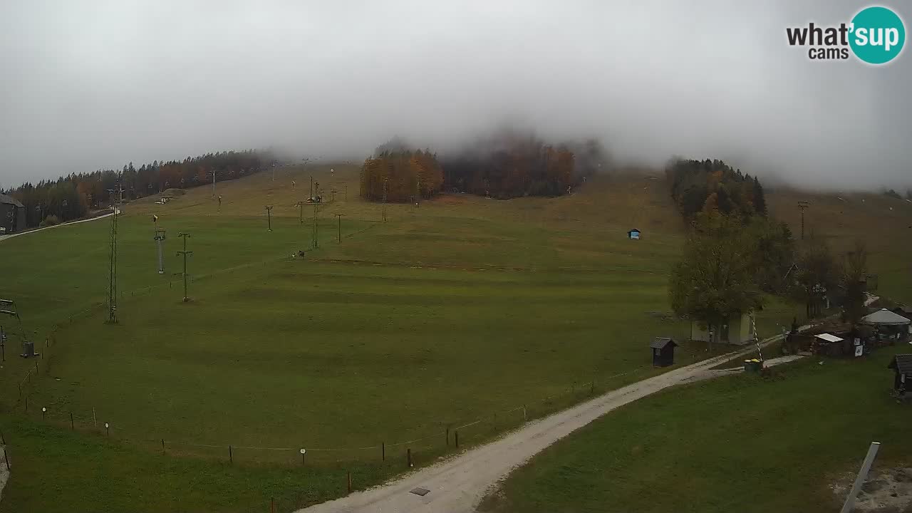 Meteo Kranjska Gora webcam | Piste da sci Kekec – Mojca – Rožle