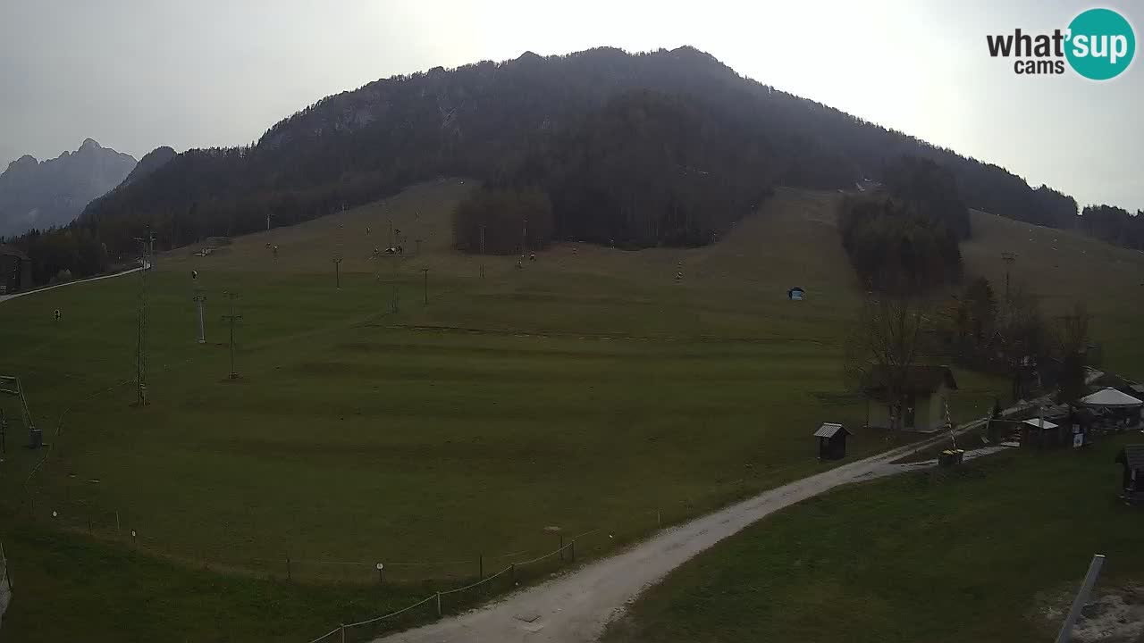 Meteo Kranjska Gora webcam | Piste da sci Kekec – Mojca – Rožle