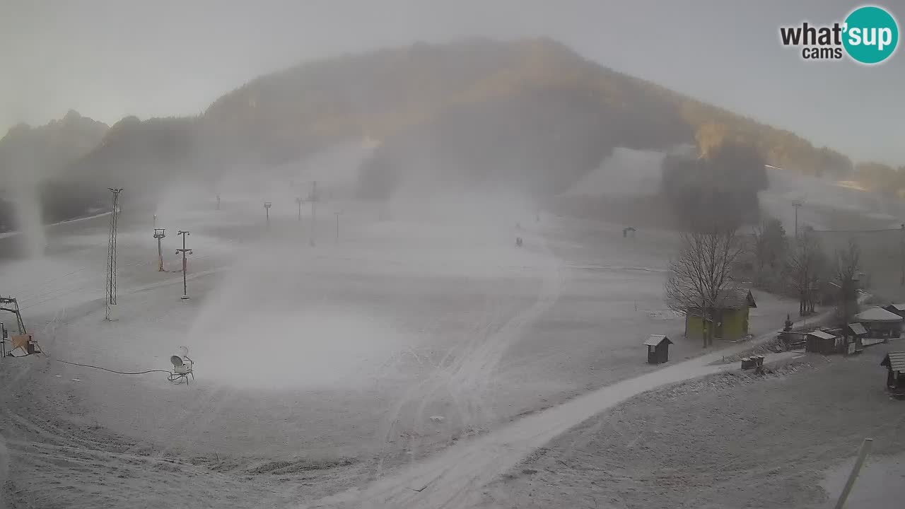 Meteo Kranjska Gora webcam | Piste da sci Kekec – Mojca – Rožle