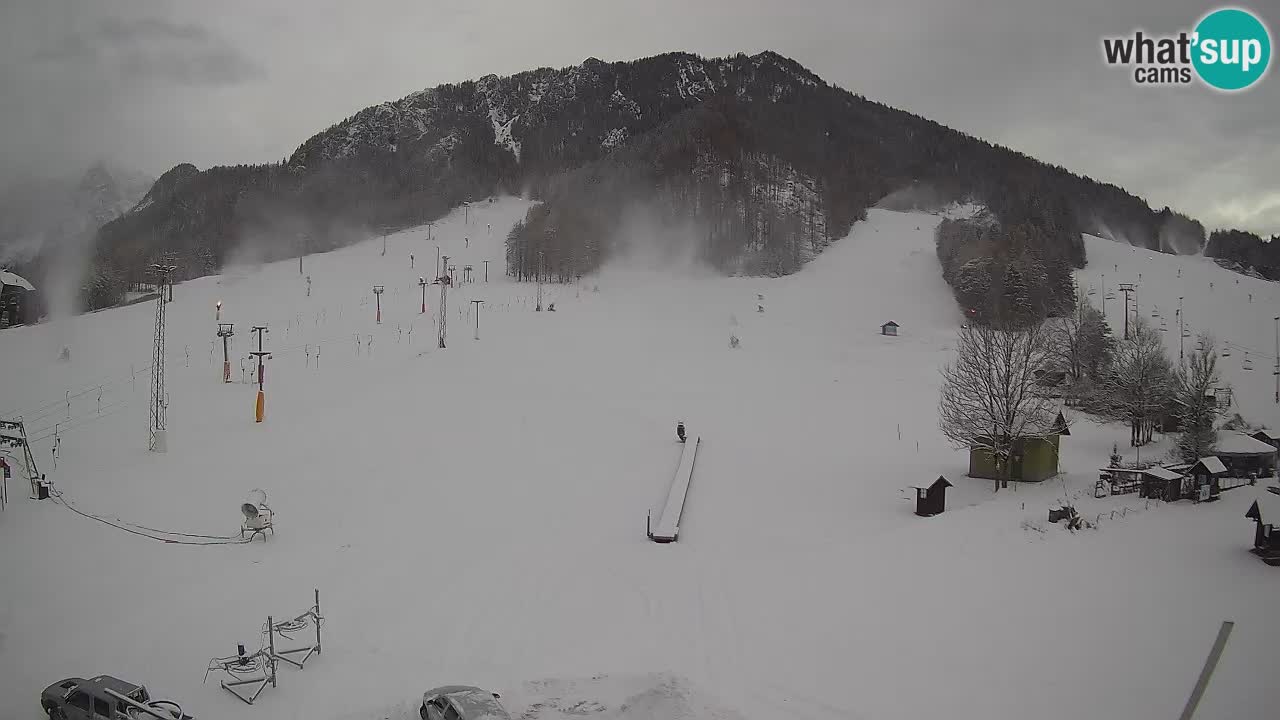 Meteo Kranjska Gora webcam | Piste da sci Kekec – Mojca – Rožle