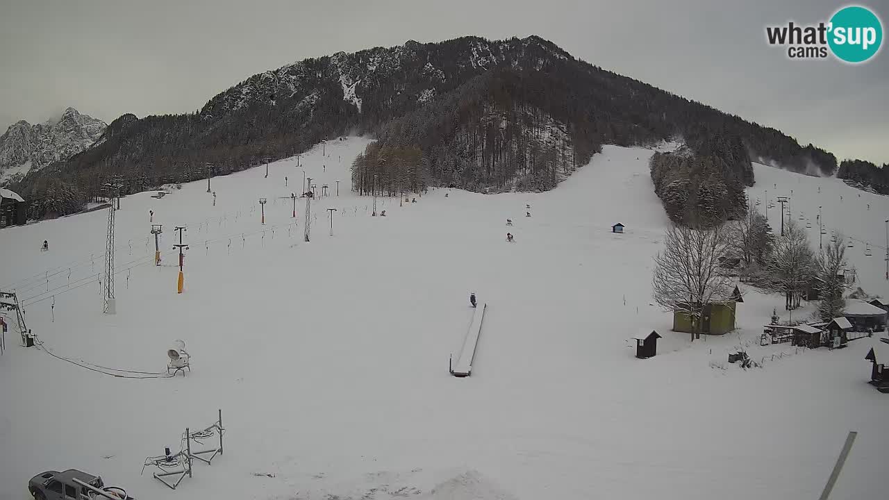 Kranjska Gora Slowenien webcam | Skigebiet Mojca – Rožle – Kekec