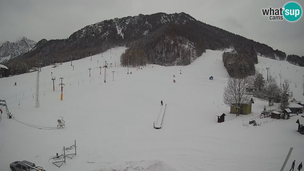 Meteo Kranjska Gora webcam | Piste da sci Kekec – Mojca – Rožle