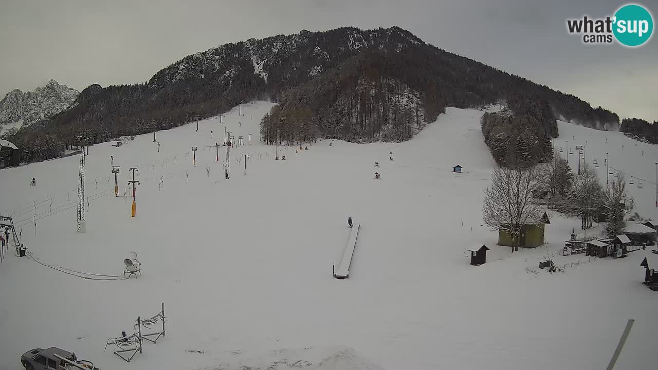 Kamera Kranjska Gora | Smučarska proga Kekec – Mojca – Rožle