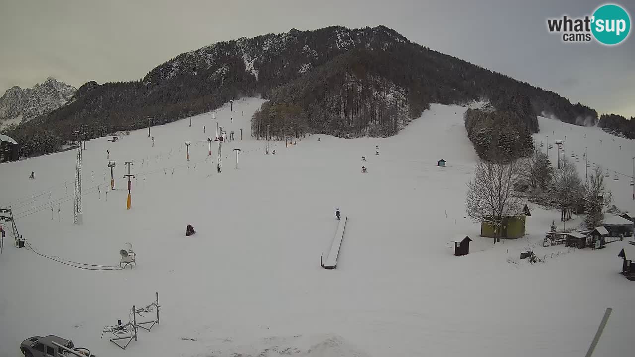 Kamera Kranjska Gora | Smučarska proga Kekec – Mojca – Rožle