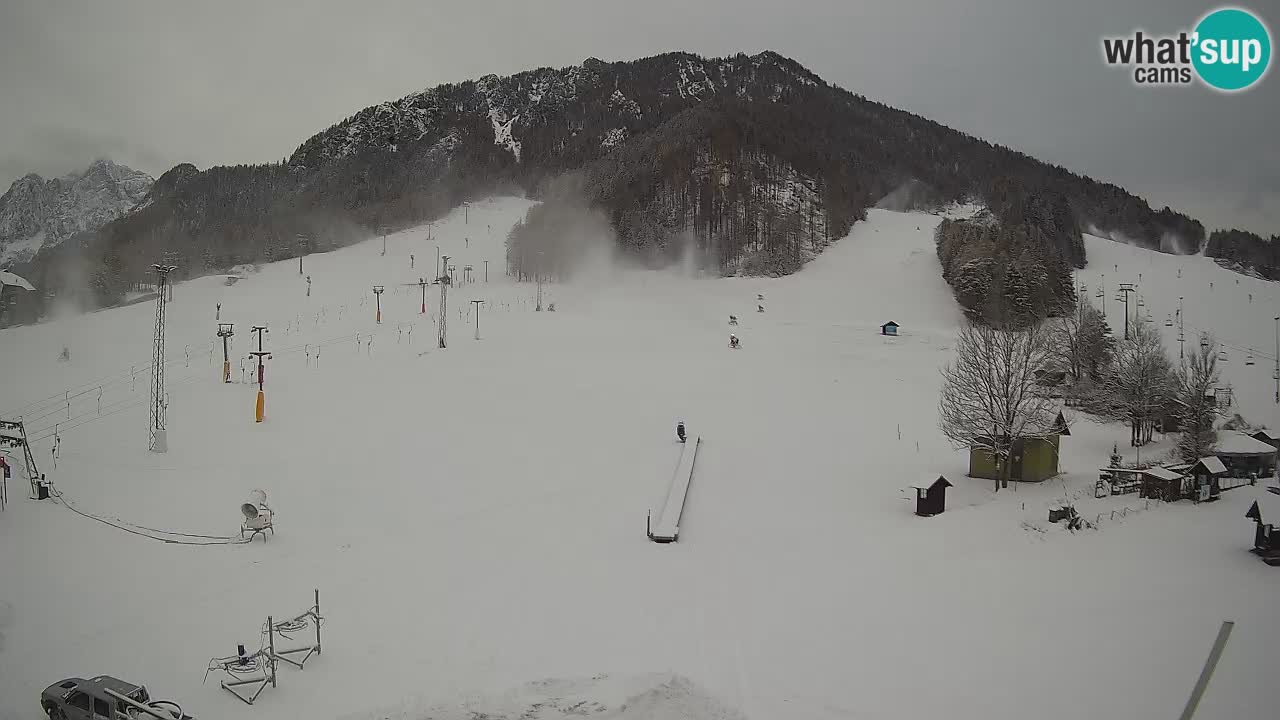 Kranjska Gora vrijeme webcam | Skijalište Mojca – Rožle – Kekec