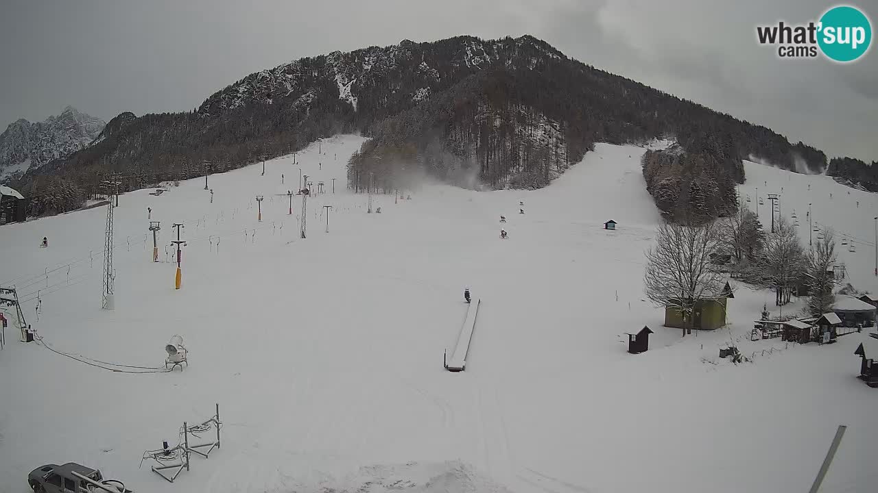 Kranjska Gora vrijeme webcam | Skijalište Mojca – Rožle – Kekec