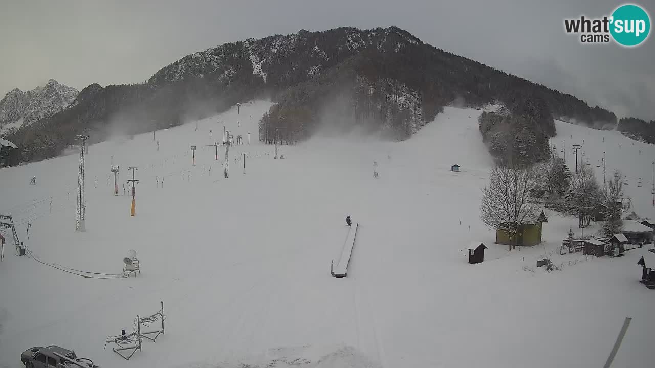 Meteo Kranjska Gora webcam | Piste da sci Kekec – Mojca – Rožle