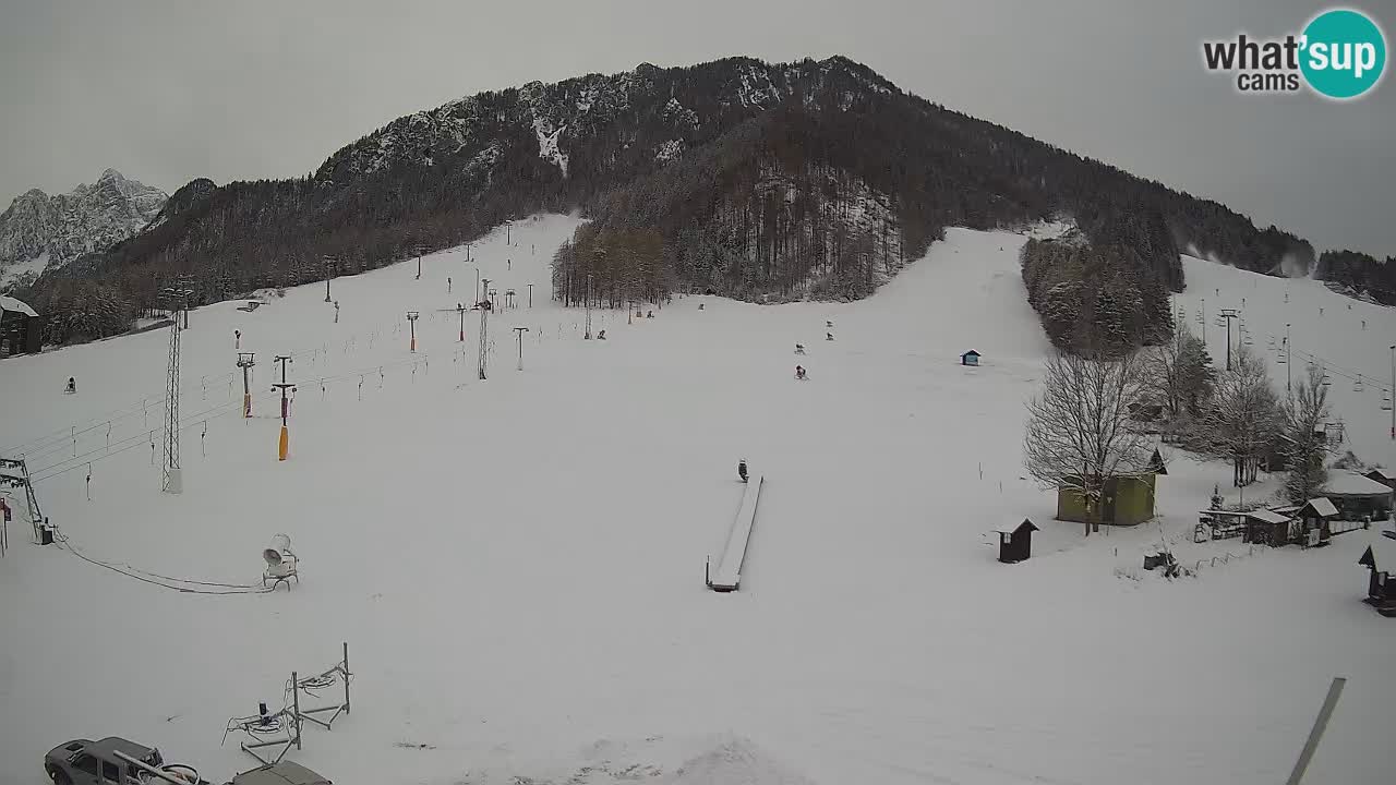 Kranjska Gora vrijeme webcam | Skijalište Mojca – Rožle – Kekec