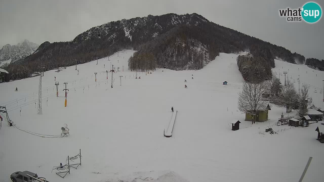 Kranjska Gora Slowenien webcam | Skigebiet Mojca – Rožle – Kekec