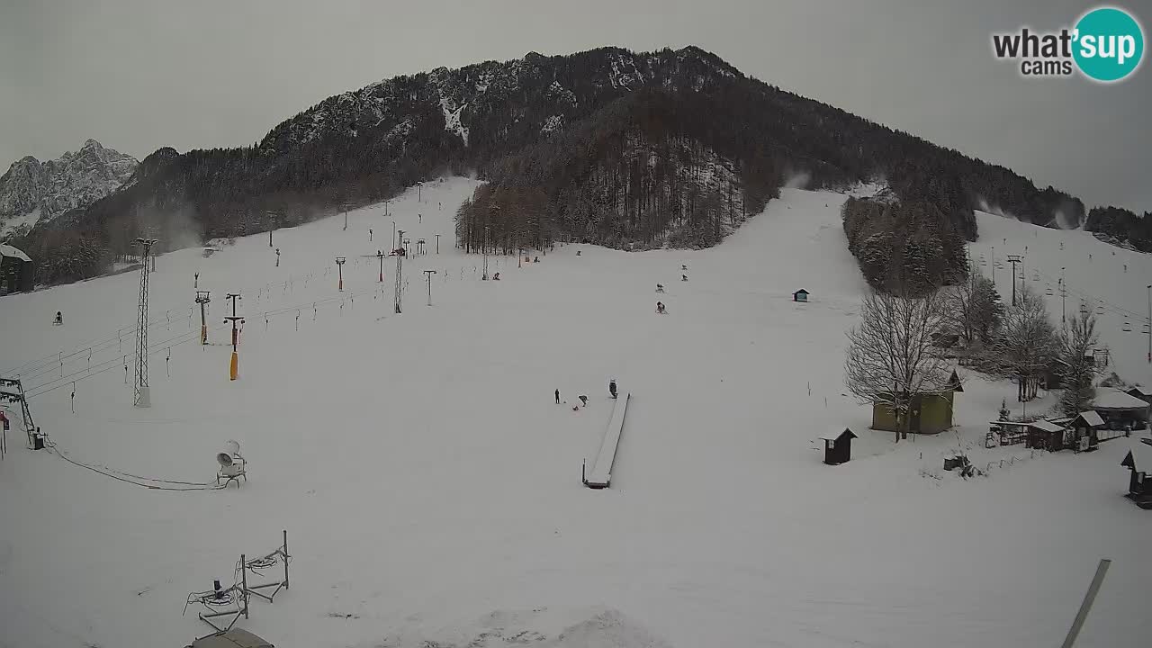 Meteo Kranjska Gora webcam | Piste da sci Kekec – Mojca – Rožle