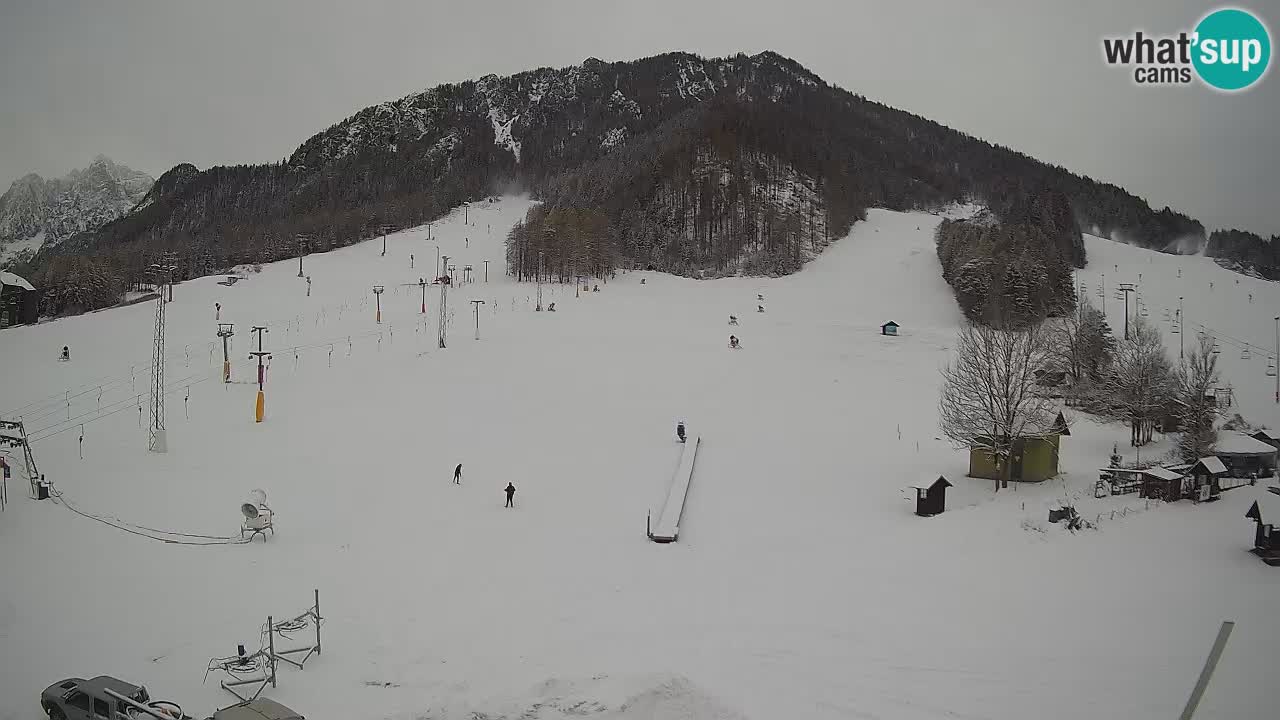 Kranjska Gora vrijeme webcam | Skijalište Mojca – Rožle – Kekec