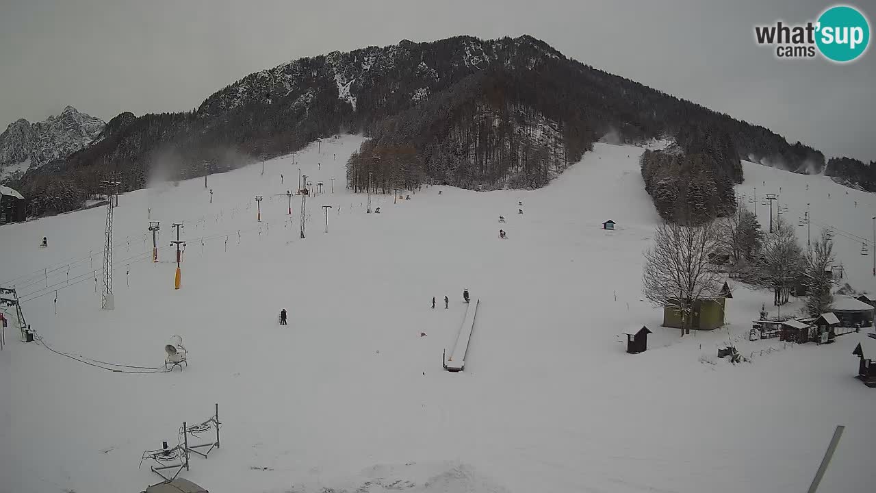 Kranjska Gora vrijeme webcam | Skijalište Mojca – Rožle – Kekec