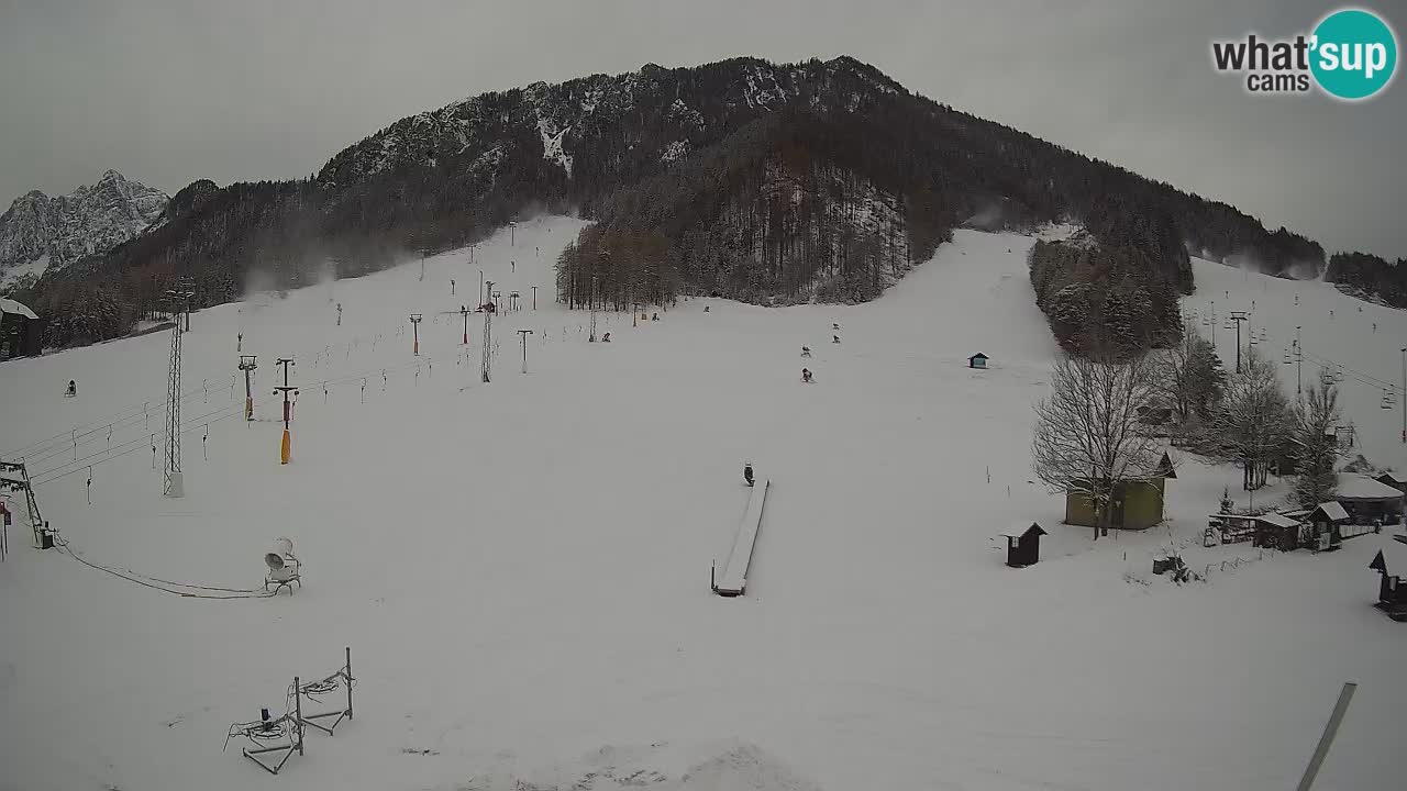 Kamera Kranjska Gora | Smučarska proga Kekec – Mojca – Rožle