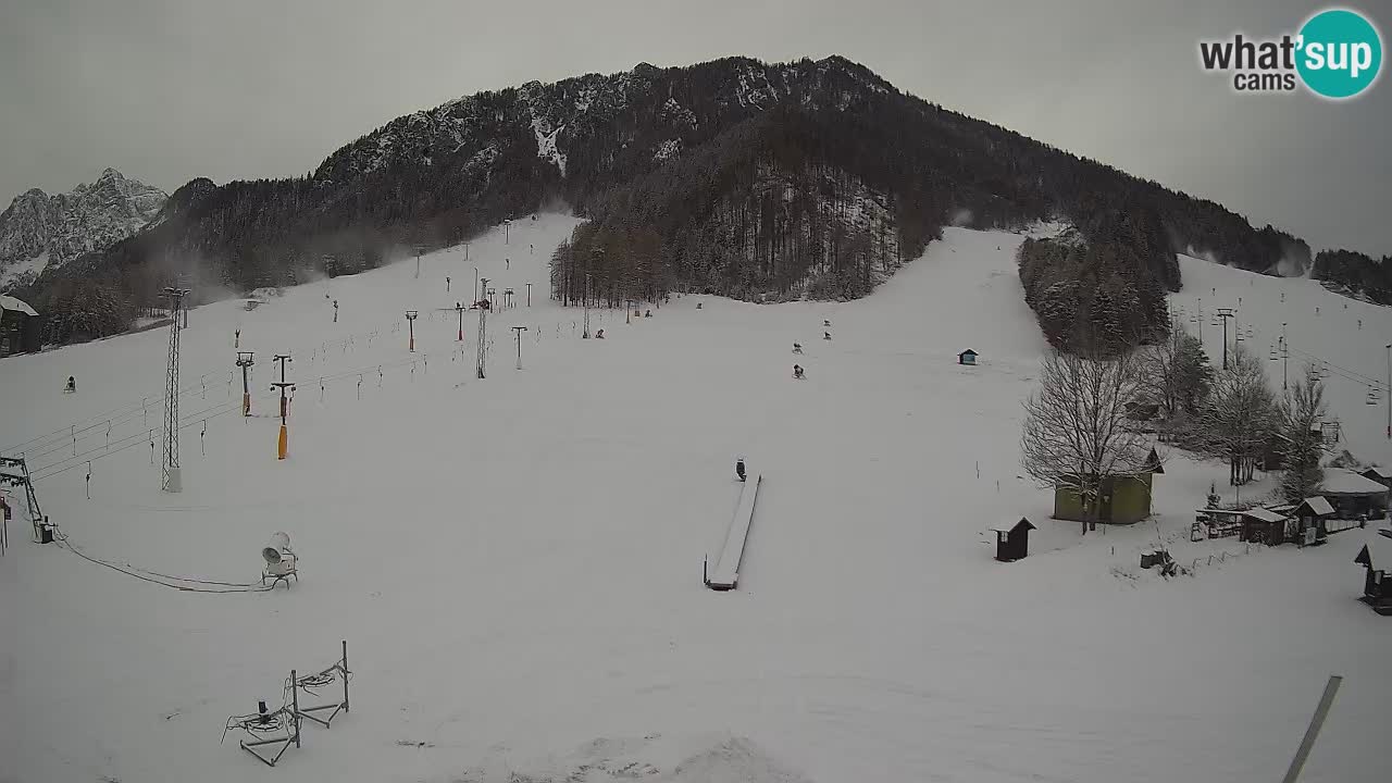 Kranjska Gora Slowenien webcam | Skigebiet Mojca – Rožle – Kekec