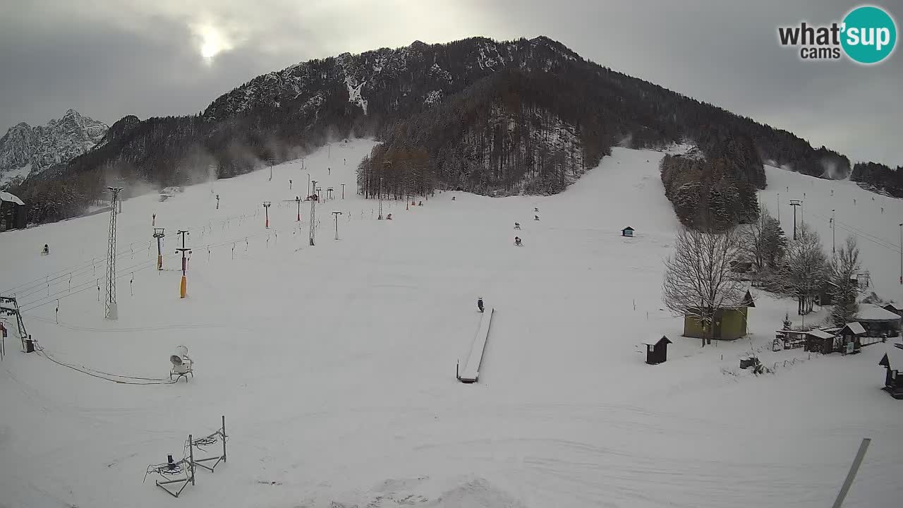 Kranjska Gora vrijeme webcam | Skijalište Mojca – Rožle – Kekec