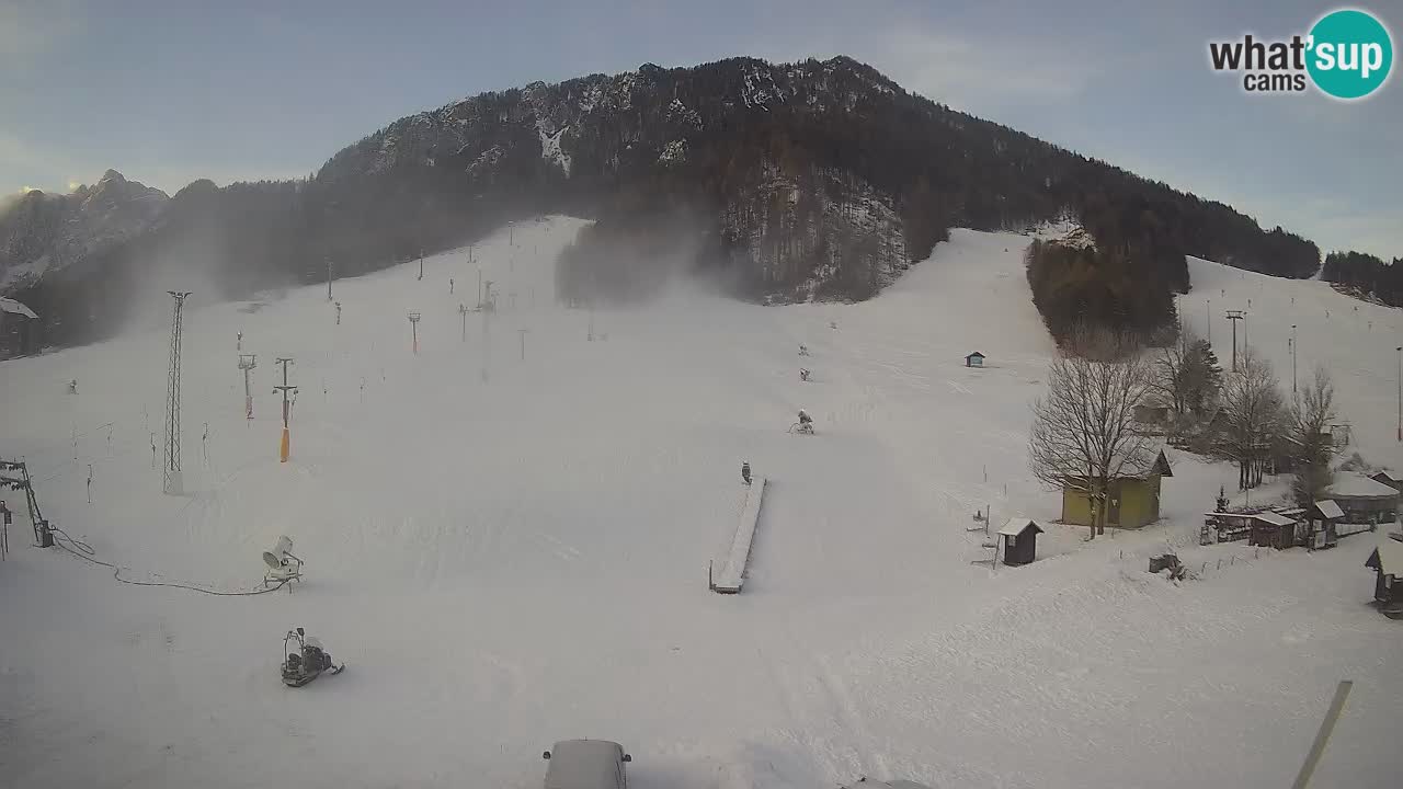 Meteo Kranjska Gora webcam | Piste da sci Kekec – Mojca – Rožle