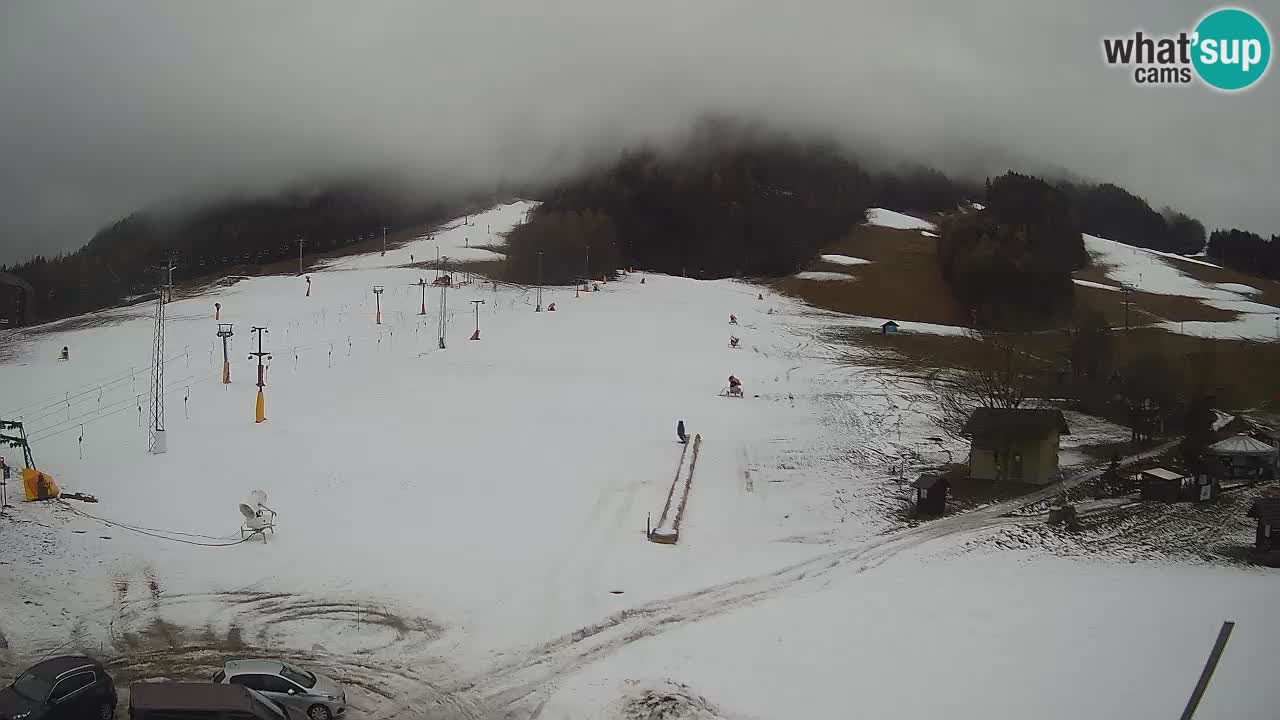 Meteo Kranjska Gora webcam | Piste da sci Kekec – Mojca – Rožle