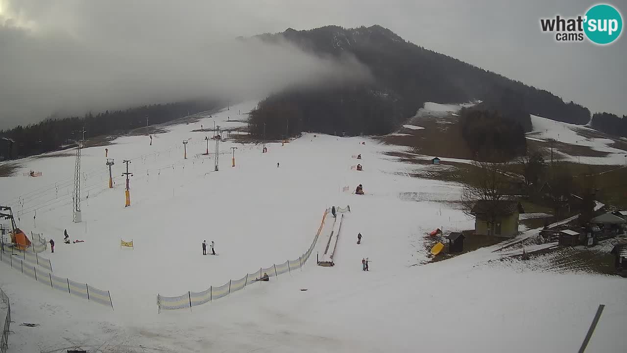 Meteo Kranjska Gora webcam | Piste da sci Kekec – Mojca – Rožle