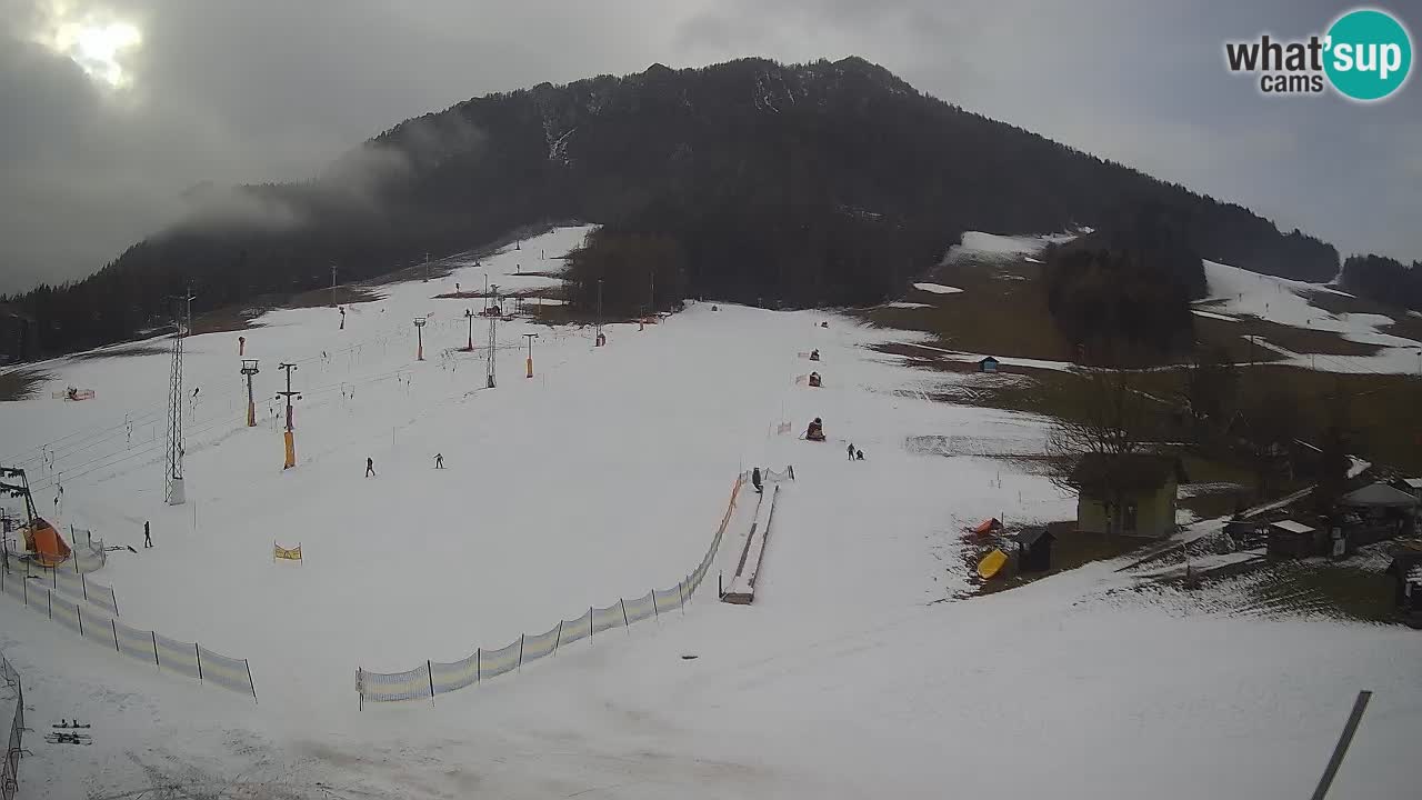 Meteo Kranjska Gora webcam | Piste da sci Kekec – Mojca – Rožle