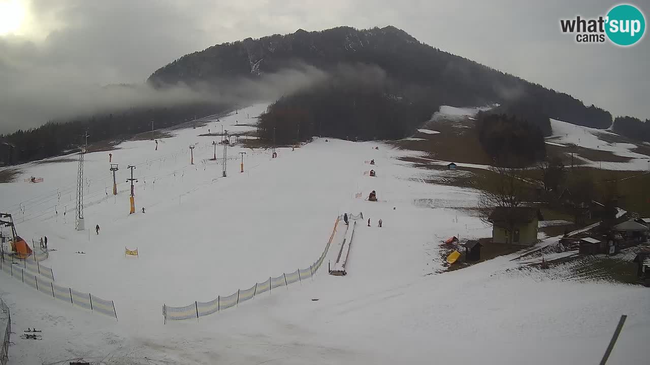 Meteo Kranjska Gora webcam | Piste da sci Kekec – Mojca – Rožle