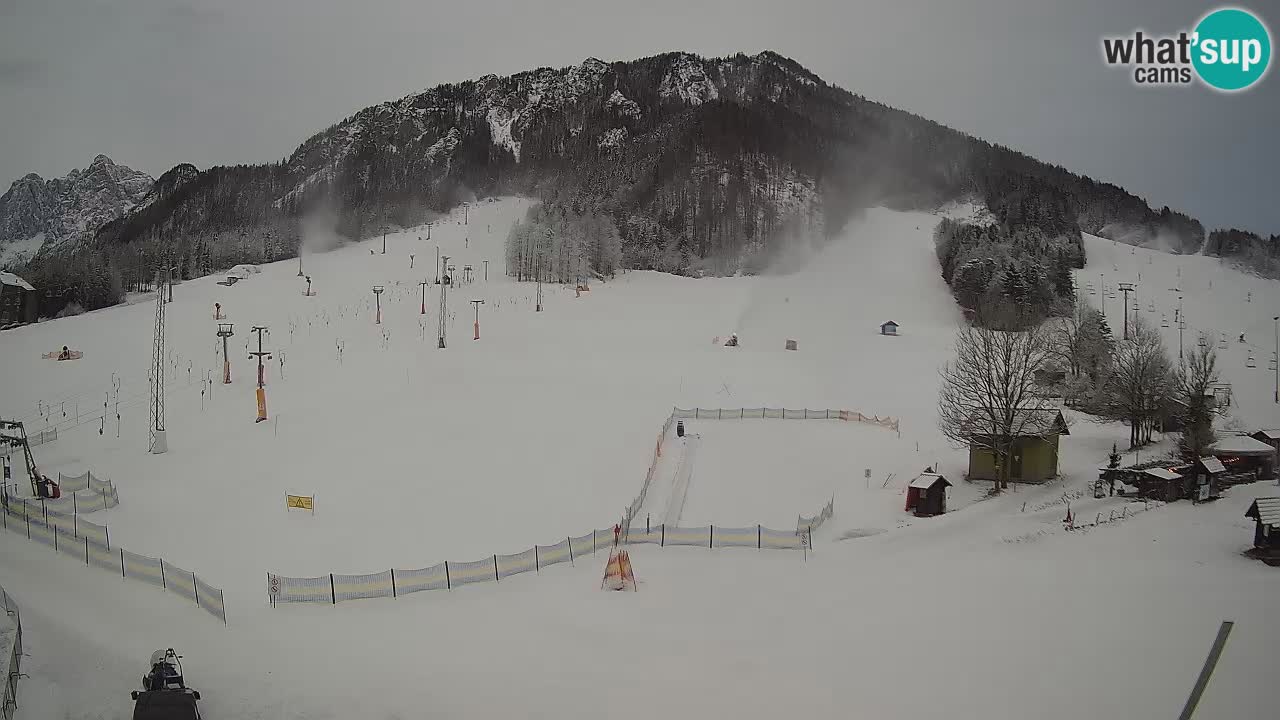 Meteo Kranjska Gora webcam | Piste da sci Kekec – Mojca – Rožle