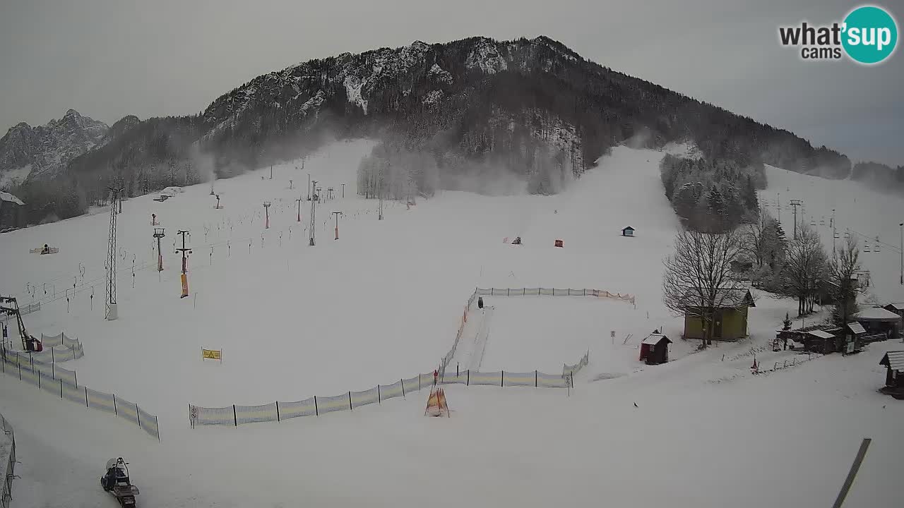 Kranjska Gora Slowenien webcam | Skigebiet Mojca – Rožle – Kekec