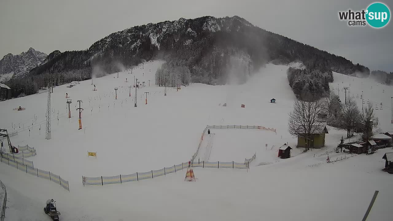 Kranjska Gora Slowenien webcam | Skigebiet Mojca – Rožle – Kekec