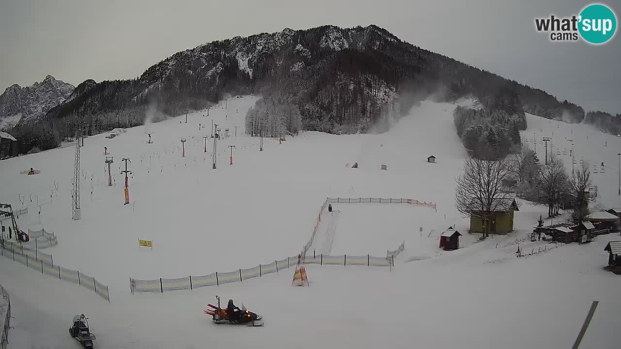 Meteo Kranjska Gora webcam | Piste da sci Kekec – Mojca – Rožle