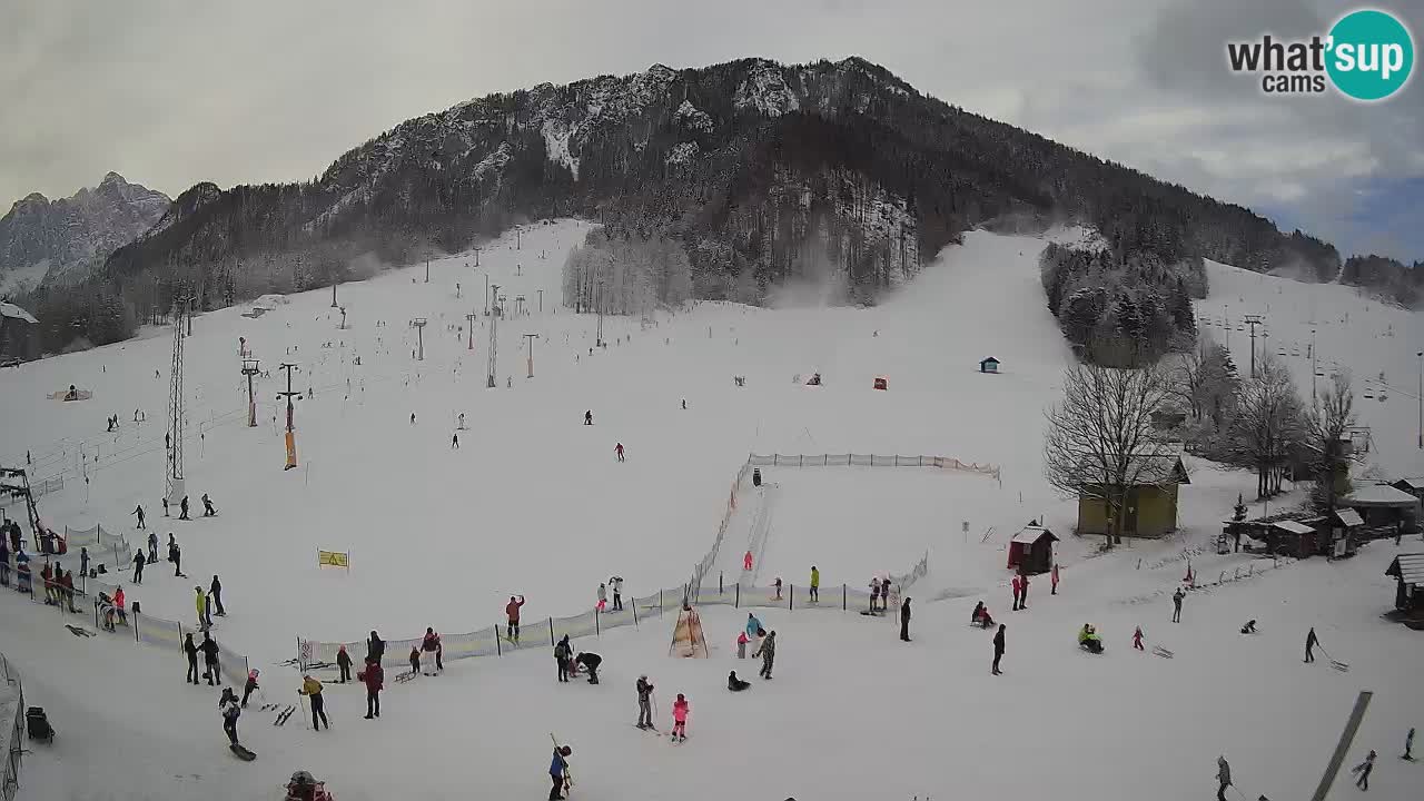 Kranjska Gora SKI area | Mojca – Rožle – Kekec ski sloap