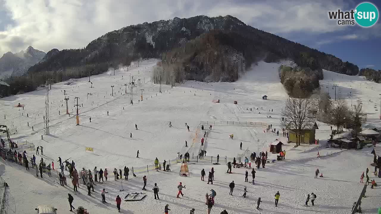 Meteo Kranjska Gora webcam | Piste da sci Kekec – Mojca – Rožle