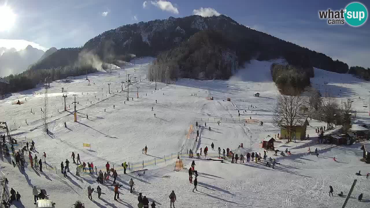 Meteo Kranjska Gora webcam | Piste da sci Kekec – Mojca – Rožle