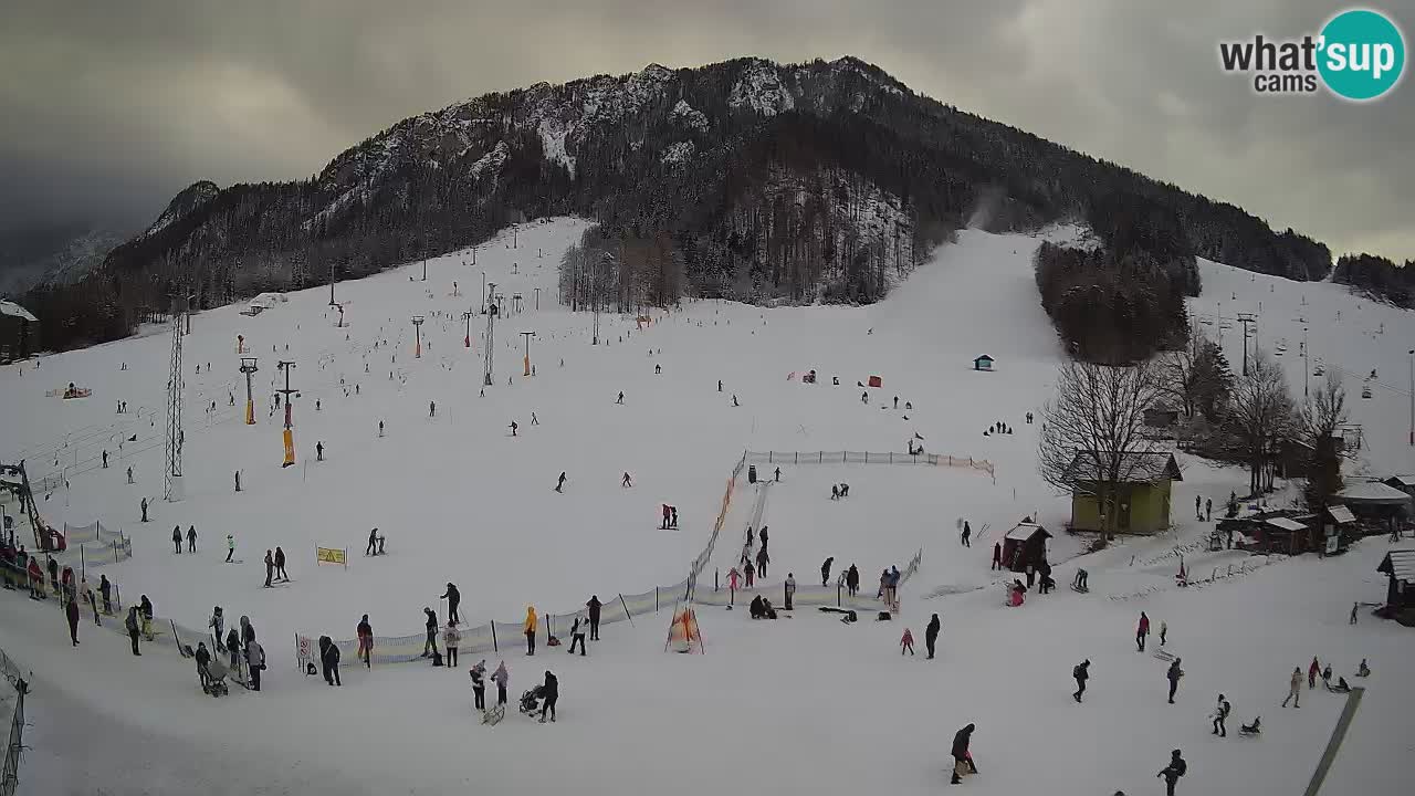 Kranjska Gora Slovénie webcam | Ski Mojca – Rožle – Kekec