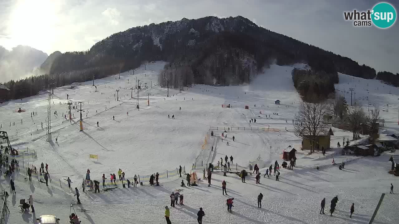 Meteo Kranjska Gora webcam | Piste da sci Kekec – Mojca – Rožle