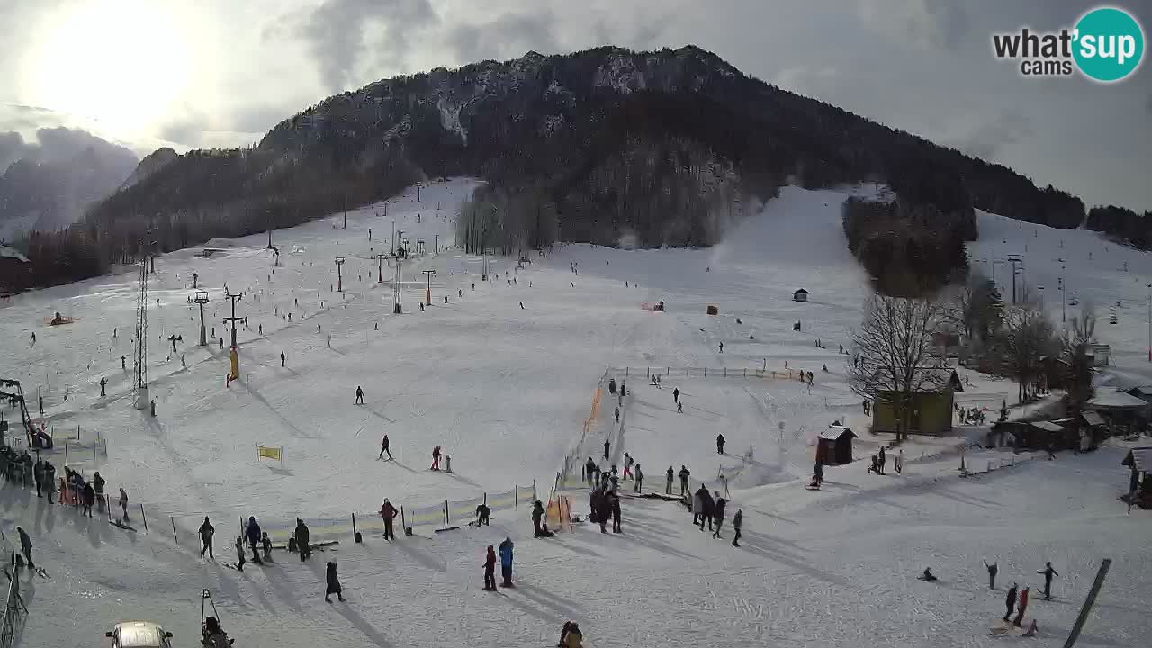 Meteo Kranjska Gora webcam | Piste da sci Kekec – Mojca – Rožle