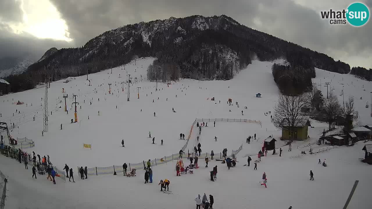 Kranjska Gora Slovénie webcam | Ski Mojca – Rožle – Kekec