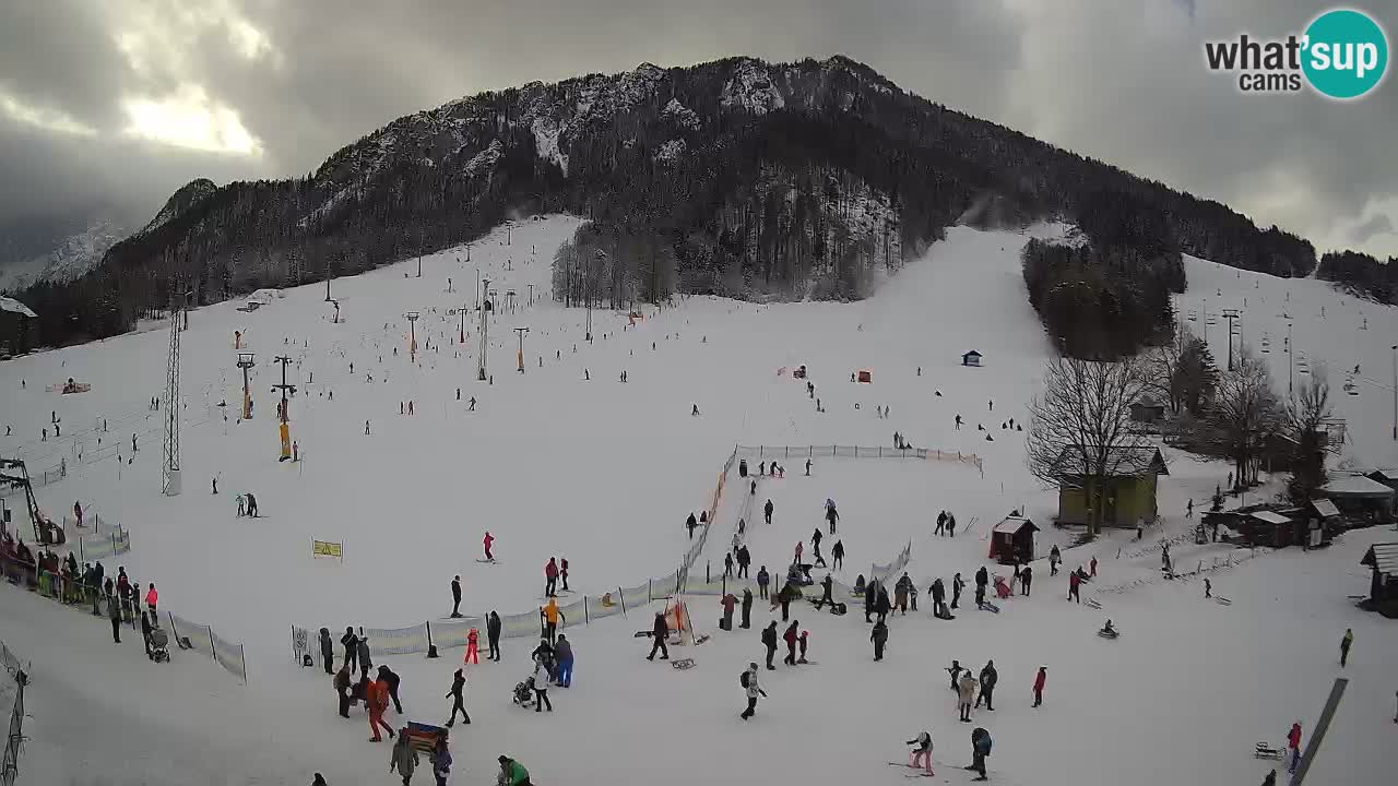 Meteo Kranjska Gora webcam | Piste da sci Kekec – Mojca – Rožle