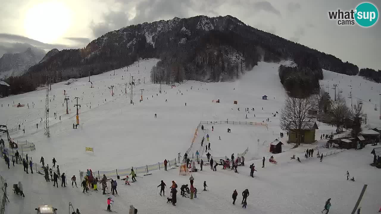 Meteo Kranjska Gora webcam | Piste da sci Kekec – Mojca – Rožle