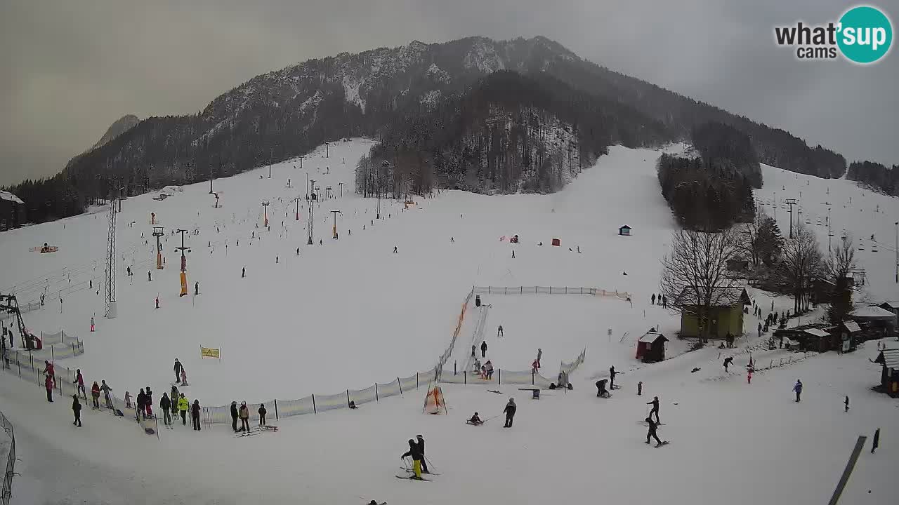 Meteo Kranjska Gora webcam | Piste da sci Kekec – Mojca – Rožle