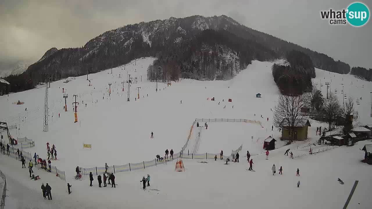 Meteo Kranjska Gora webcam | Piste da sci Kekec – Mojca – Rožle