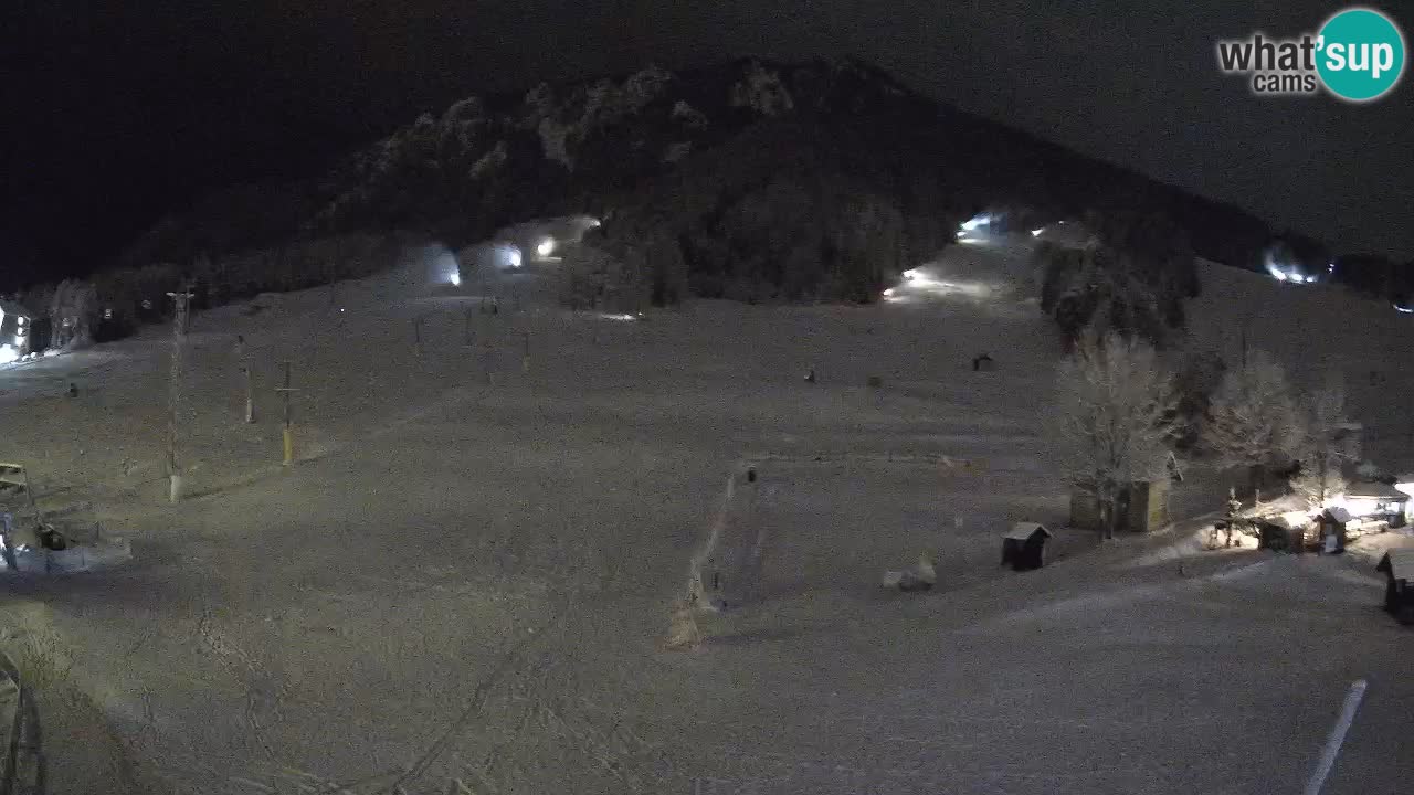 Meteo Kranjska Gora webcam | Piste da sci Kekec – Mojca – Rožle