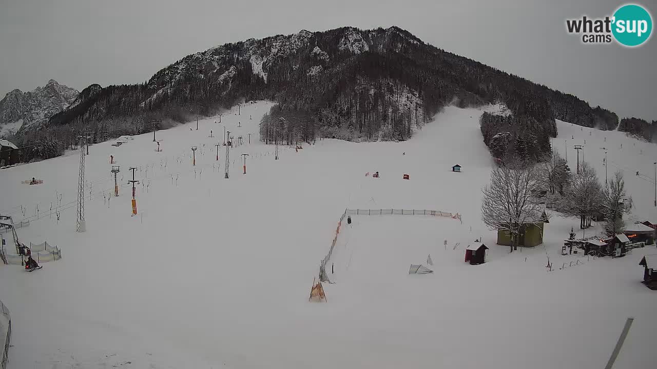 Tiempo Kranjska Gora webcam | Esquí Mojca – Rožle – Kekec