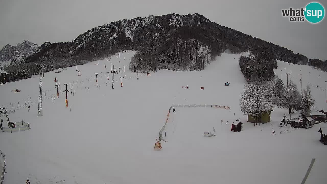 Kranjska Gora Slovénie webcam | Ski Mojca – Rožle – Kekec