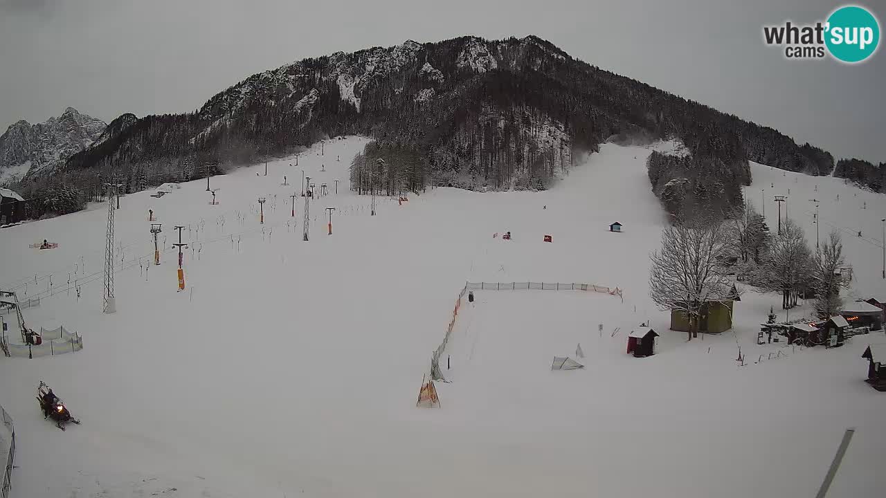 Kamera Kranjska Gora | Smučarska proga Kekec – Mojca – Rožle